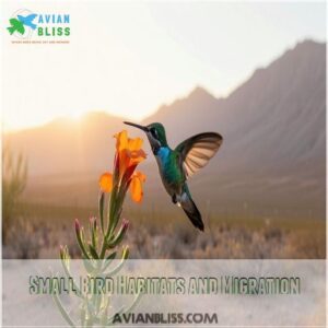 Small Bird Habitats and Migration