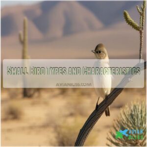 Small Bird Types and Characteristics