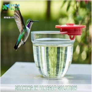 Soaking in Vinegar Solution