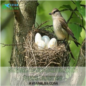 Songbird Nesting Behavior in The Pacific Northwest