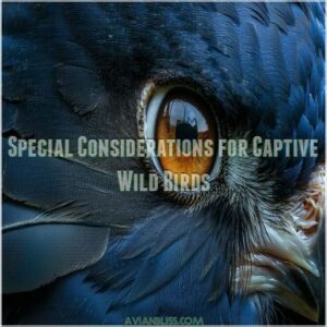 Special Considerations for Captive Wild Birds