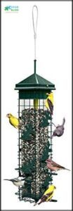 Squirrel Solution200 Squirrel-proof Bird Feeder