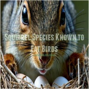 Squirrel Species Known to Eat Birds