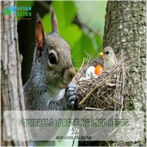 Squirrels Targeting Bird Nests