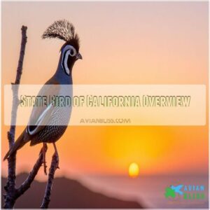 State Bird of California Overview