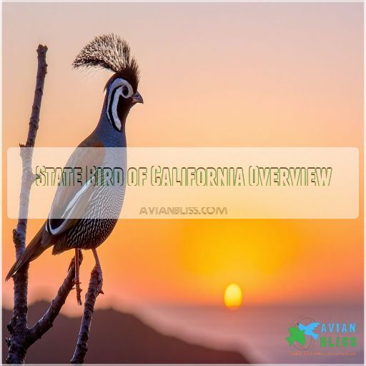 The Captivating California Quail: Official State Bird Revealed