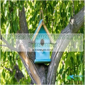 Strategies for Effective Bird Habitat Preservation