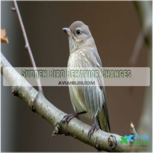 Sudden Bird Behavior Changes