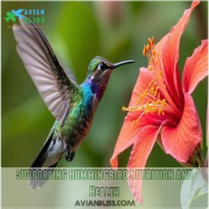 Supporting Hummingbird Nutrition and Health