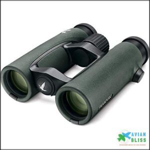 Swarovski EL 8.5x42 Binoculars (Green)