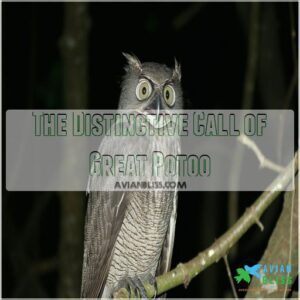 The Distinctive Call of Great Potoo