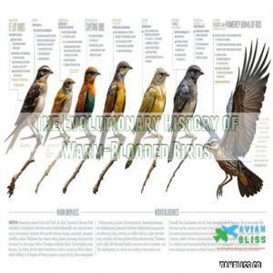 The Evolutionary History of Warm-Blooded Birds