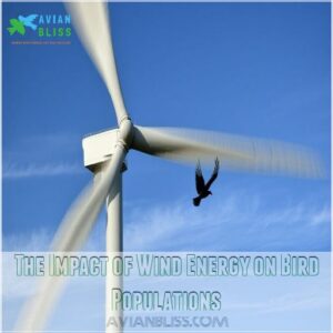 The Impact of Wind Energy on Bird Populations