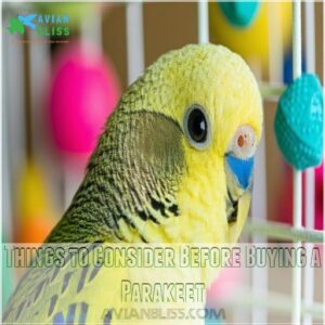 Things to Consider Before Buying a Parakeet