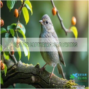 Tips for Capturing Bird Photos