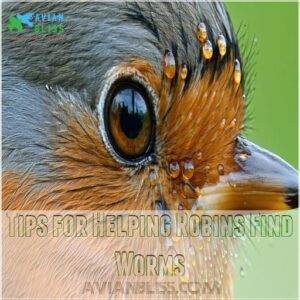 Tips for Helping Robins Find Worms