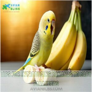 Tips for Introducing Bananas to Baby Parakeets