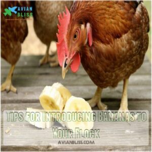 Tips for Introducing Bananas to Your Flock