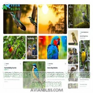 Top Birding Websites for Beginners and Experts