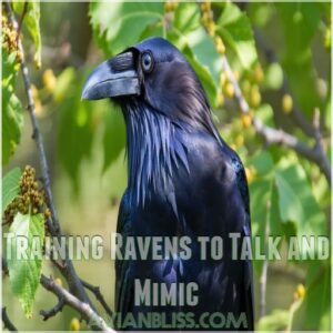 Training Ravens to Talk and Mimic