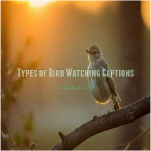 Types of Bird Watching Captions