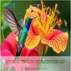 Types of Insects Hummingbirds Eat