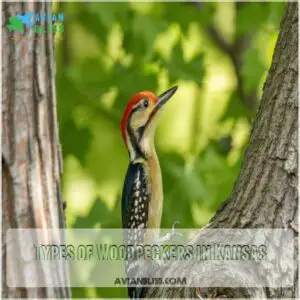 Types of Woodpeckers in Kansas