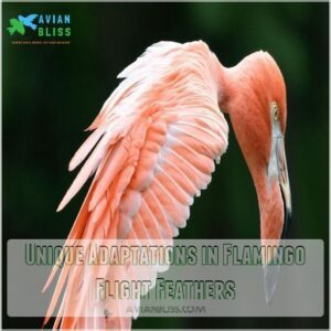 Unique Adaptations in Flamingo Flight Feathers