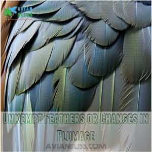 Unkempt Feathers or Changes in Plumage