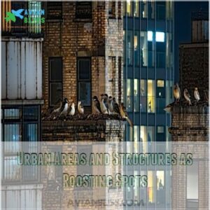 Urban Areas and Structures as Roosting Spots