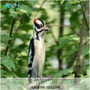 Urban Vs. Rural Woodpeckers