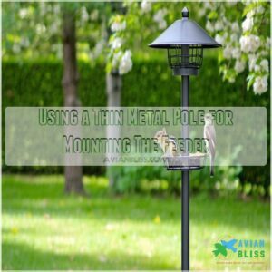 Using a Thin Metal Pole for Mounting The Feeder