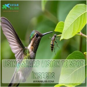 Using Sharp Vision to Spot Insects