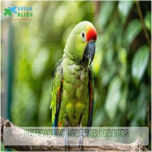 Veterinary Care for Parrots