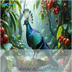 Victoria Crowned Pigeon as a Pet