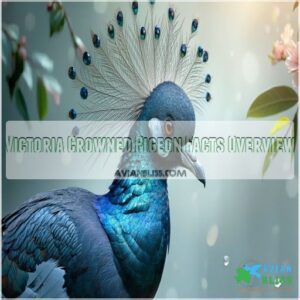 Victoria Crowned Pigeon Facts Overview