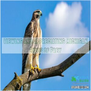 Viewing and Appreciating Michigan Birds of Prey