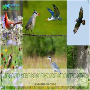 Virginia Bird Ecology and Conservation