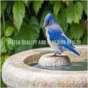 Water Quality and Bluebird Health