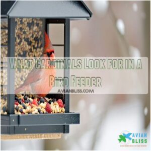 What Cardinals Look for in a Bird Feeder