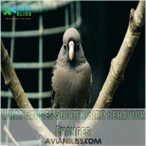 What Causes Sudden Bird Behavior Changes