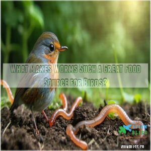 What Makes Worms Such a Great Food Source for Birds