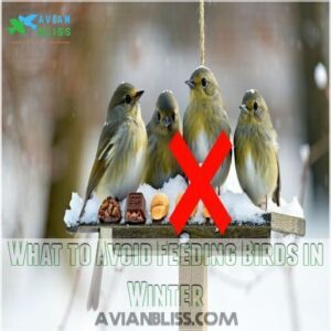 What to Avoid Feeding Birds in Winter