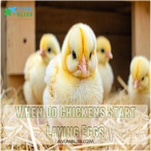 When Do Chickens Start Laying Eggs