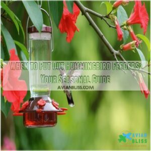 when to put out hummingbird feeders