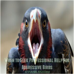 When to Seek Professional Help for Aggressive Birds