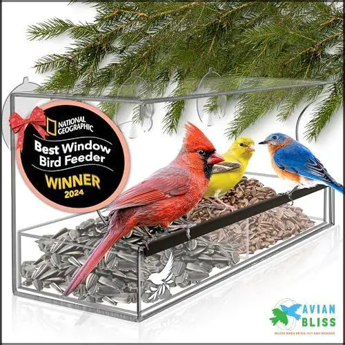 Curated visual reference: Modern Avian Window Innovations For Infectious Bird Cages Reference: Top 9 Window Bird Feeders With Strong Suction 2025 Guide