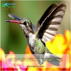 Wing Flap Rate of Hummingbirds