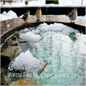 Winter Bird Bath Maintenance Tips