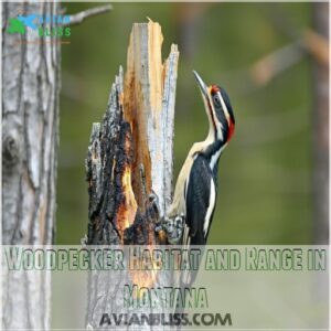 Woodpecker Habitat and Range in Montana